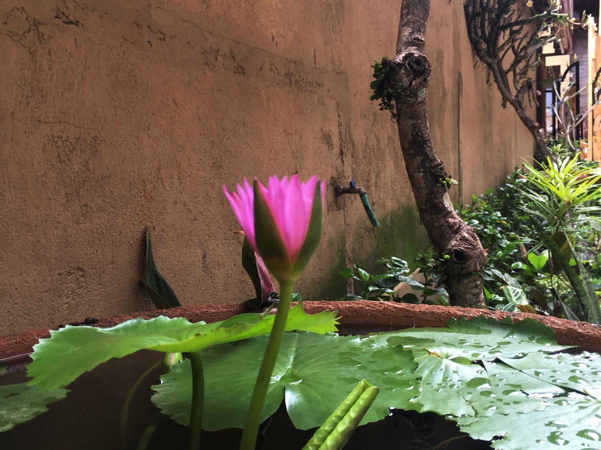 Bulan Bali Homestay Убуд Екстериор снимка