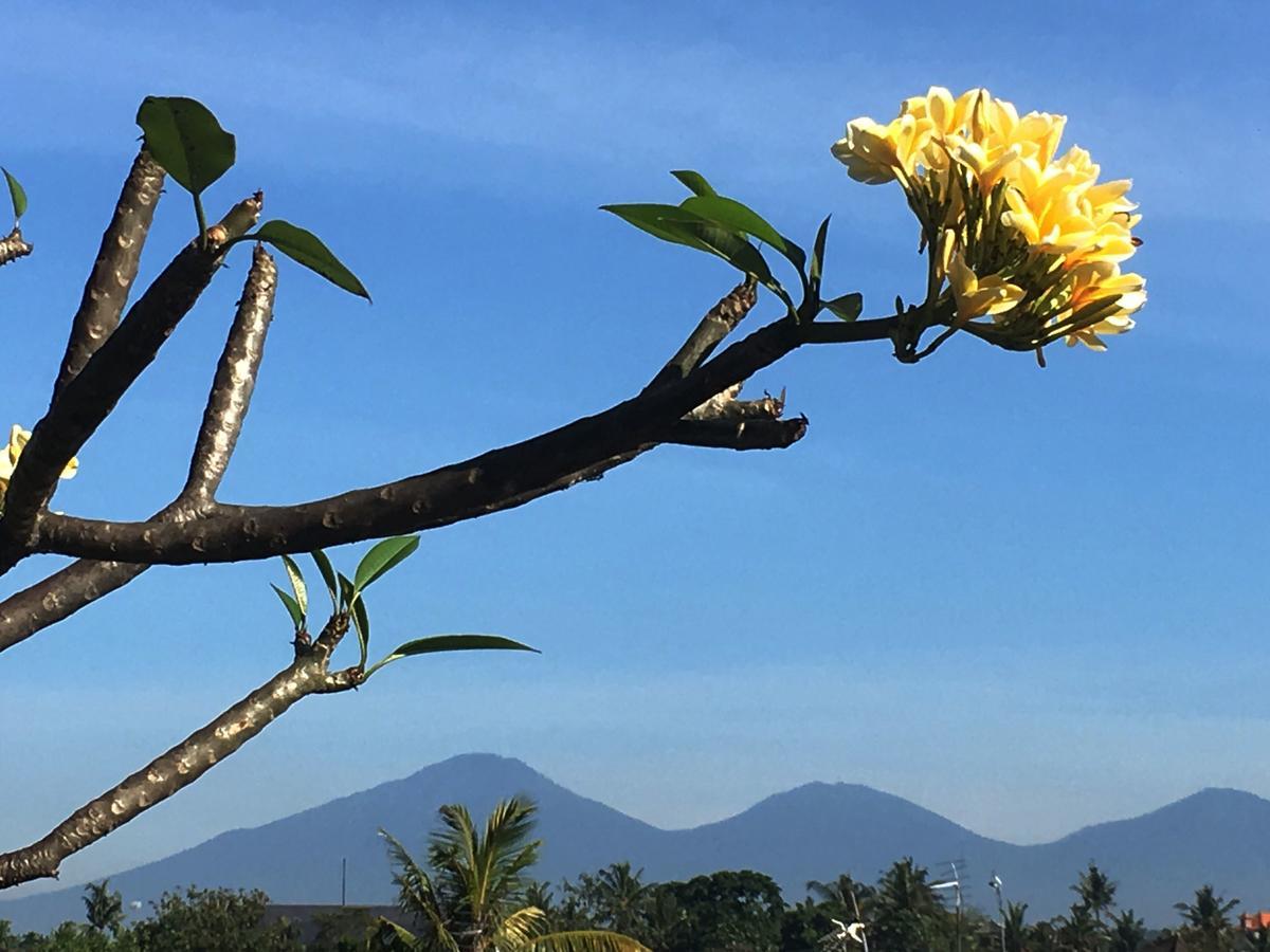 Bulan Bali Homestay Убуд Екстериор снимка